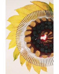 کیک ساده با مارمالاد تمشک