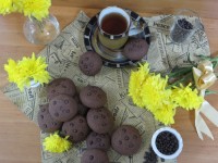 کوکی ساده شکلاتی
