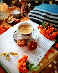 نسکافه رژیمی