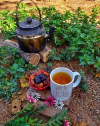 دمنوش آرامش بخش