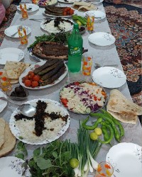 کوبیده مرغ