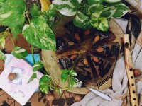 کیک شکلاتی (یک تخم مرغی)