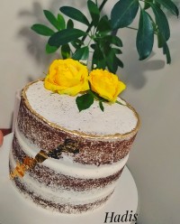 مینی کیک عریان