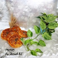 نان زنجبیلی