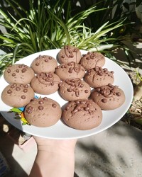 کوکی شکلاتی با دستور مامان مأوا