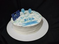 کیک تولد سینا