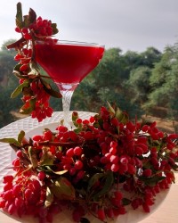 لیموناد زرشک