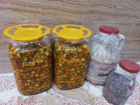 ترشی های امسال ما