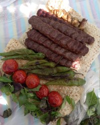 تقدیم به دوستارانش