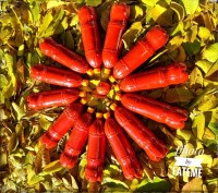 حس قشنگ پاییز