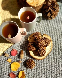 کوکی رژیمی