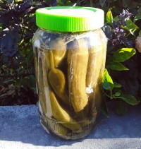 خیارشور خانگی