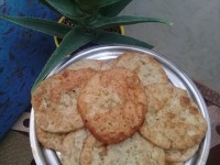 ❣چلبک زابلی❣