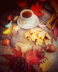 چالش-عنصر-بافت