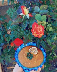 عدسی با بلغور گندم