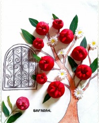 شیرینی پاپاتیا شیرینی رنگی