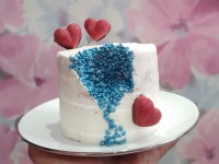 مینی کیک عریان تکنیک ژئود