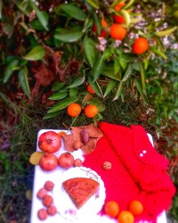کیک نسکافه وگردو (لطفا ورق بزنید)