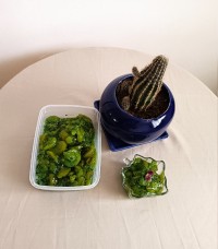 مربای کیوی ?