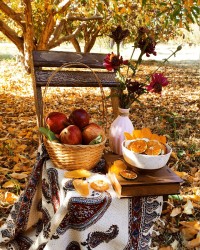 میوه های خشک