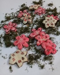 شیرینی شکوفه