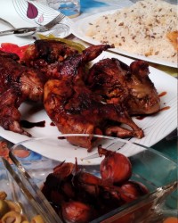 بلدرچین شکم پر