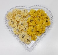 بستنی خشک (سوت شیرینیسی)