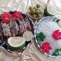 نوش نگاهتون?