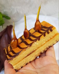 تی تاپ خونگی