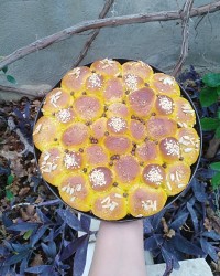 نون شکلاتی مخصوص صبحانه