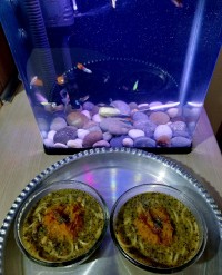 بکوب بکوب لایکوووو