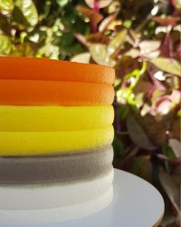 پاییزیِ خوشرنگ