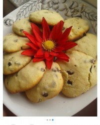 اگ پاپی قبول کنه ادامه پست قبل