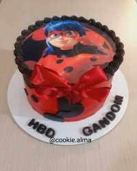 کیک تولد دختر کفشدوزکی