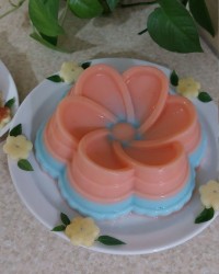 ژله سفید (ژله شیر)