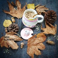 شیر قهوه
