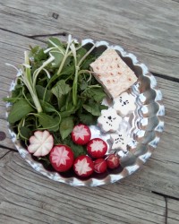 نون پنیرسبزی