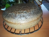 کیک 10 سانتی از فر دیشب در آورده شده بدون تزئینات