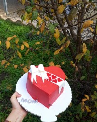 کیک تولد مادرم