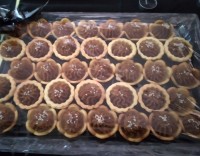 نذری? یافاطمه الزهرا (س)