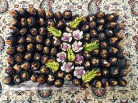 خرمای مجلسی