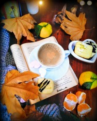 شیرینی کره ای (شیرینی کعک کنجدی)