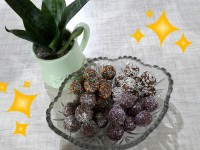 توپک خرمایی پویش -سرداردلها جان فدا