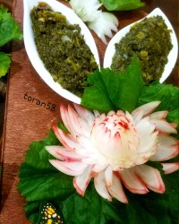 توله ب زبان محلی ما لُرها