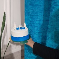 مینی کیک ۷۰۰ گرمی سفارشی..