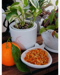 پوست پرتقال خشک شده