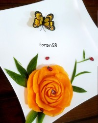 دورچین باکدوحلوایی