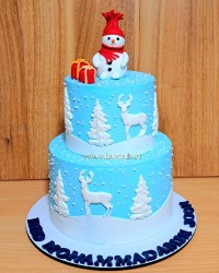 سفارش کیک زمستونی