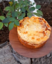 کیک کرم دار میوه ای