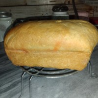 نان تست بدون تخم مرغ ?